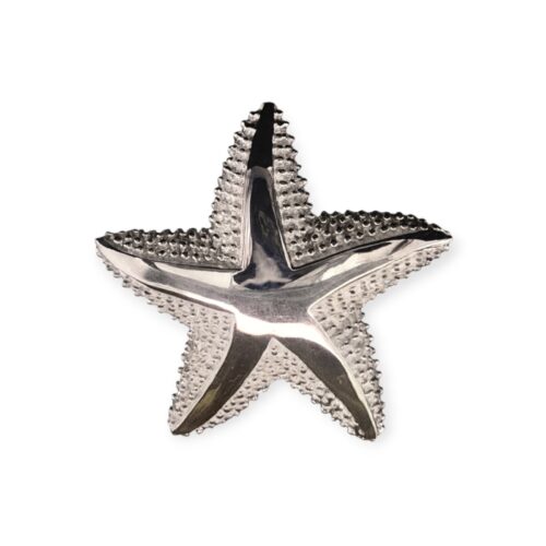 Maritimer Anhänger Seestern Silber 925/- 22mm (PP3328)