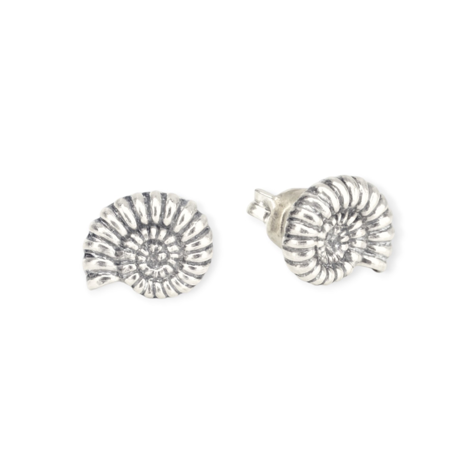 Maritimer Ohrstecker Schneckenmuschel Silber 925/- 8 mm (EP2077) – Bild 1
