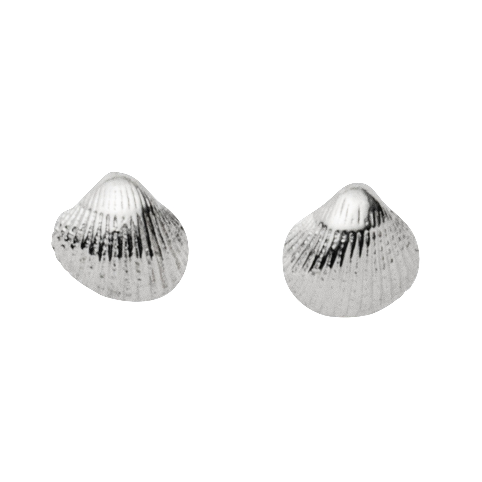 DUR Schmuck Ohrstecker MUSCHEL 2.0 Silber 925/- rhodiniert (O5632) – Bild 1